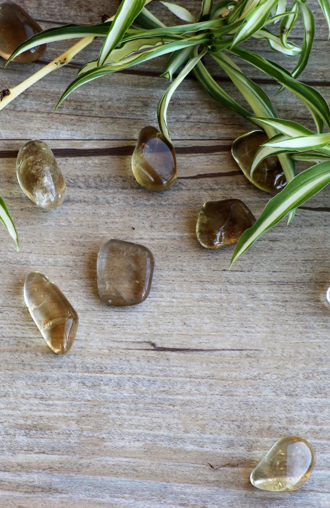 Citrine Natural Tumbled Stone